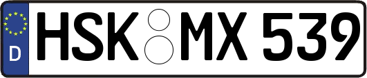 HSK-MX539