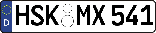 HSK-MX541