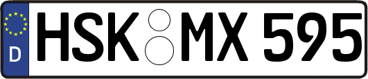 HSK-MX595