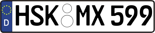 HSK-MX599