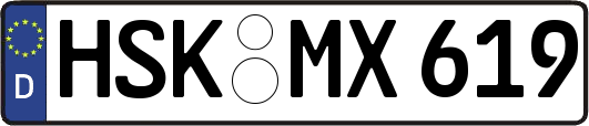 HSK-MX619