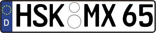 HSK-MX65