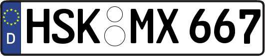 HSK-MX667