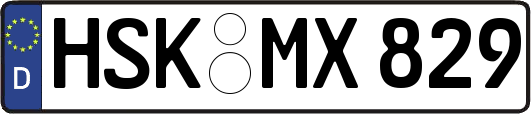 HSK-MX829