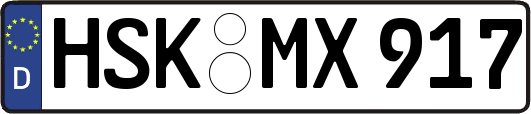 HSK-MX917