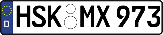 HSK-MX973