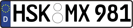 HSK-MX981