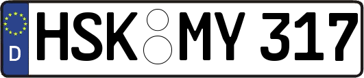 HSK-MY317