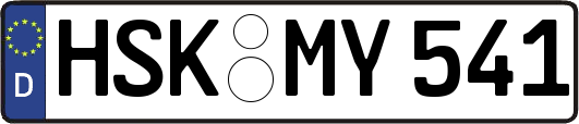 HSK-MY541