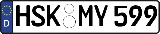 HSK-MY599