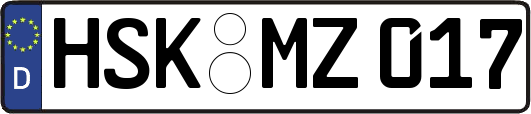 HSK-MZ017