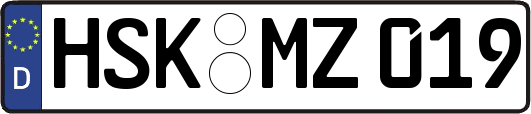 HSK-MZ019