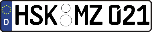HSK-MZ021