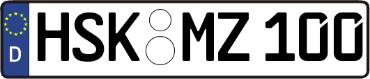 HSK-MZ100