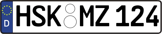 HSK-MZ124