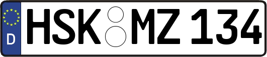 HSK-MZ134