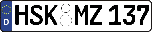 HSK-MZ137