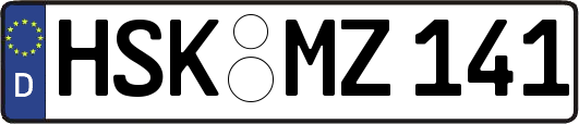 HSK-MZ141