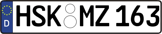 HSK-MZ163