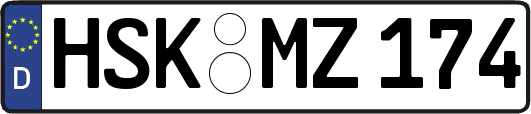 HSK-MZ174