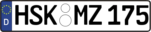 HSK-MZ175