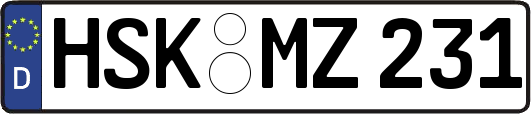 HSK-MZ231