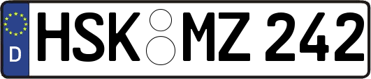 HSK-MZ242