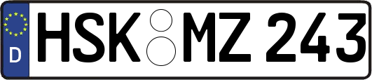 HSK-MZ243