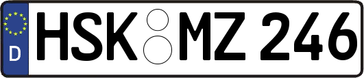 HSK-MZ246