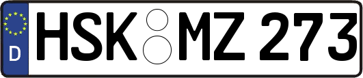 HSK-MZ273