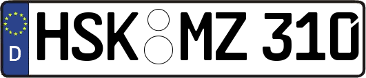 HSK-MZ310