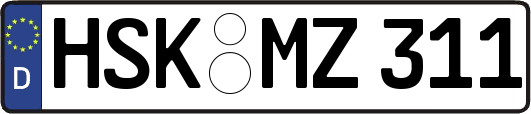 HSK-MZ311