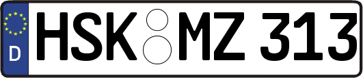 HSK-MZ313