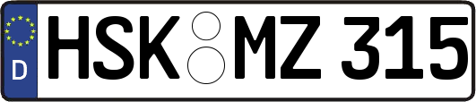 HSK-MZ315