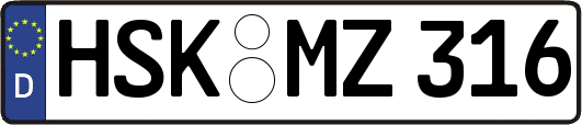 HSK-MZ316