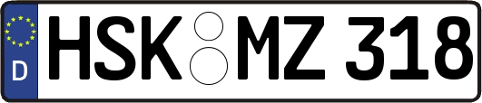 HSK-MZ318
