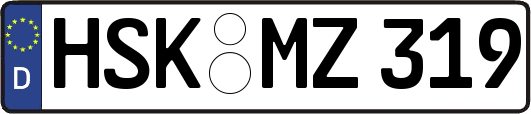 HSK-MZ319