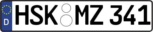 HSK-MZ341