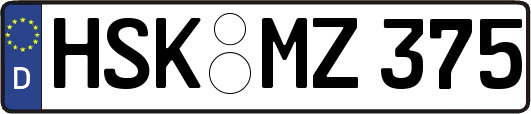 HSK-MZ375