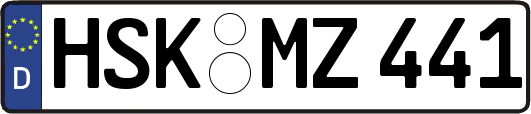 HSK-MZ441