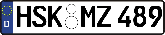 HSK-MZ489