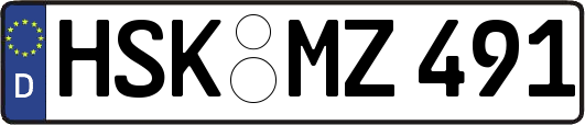 HSK-MZ491