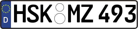 HSK-MZ493