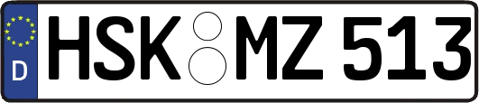 HSK-MZ513