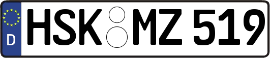 HSK-MZ519