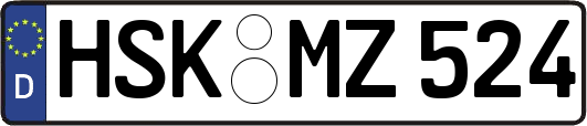 HSK-MZ524