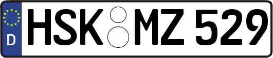 HSK-MZ529