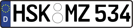 HSK-MZ534