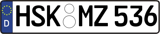 HSK-MZ536
