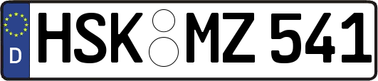 HSK-MZ541